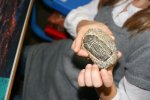 Fossile d'animal sous-marin trouvé au sommet d'une montagne